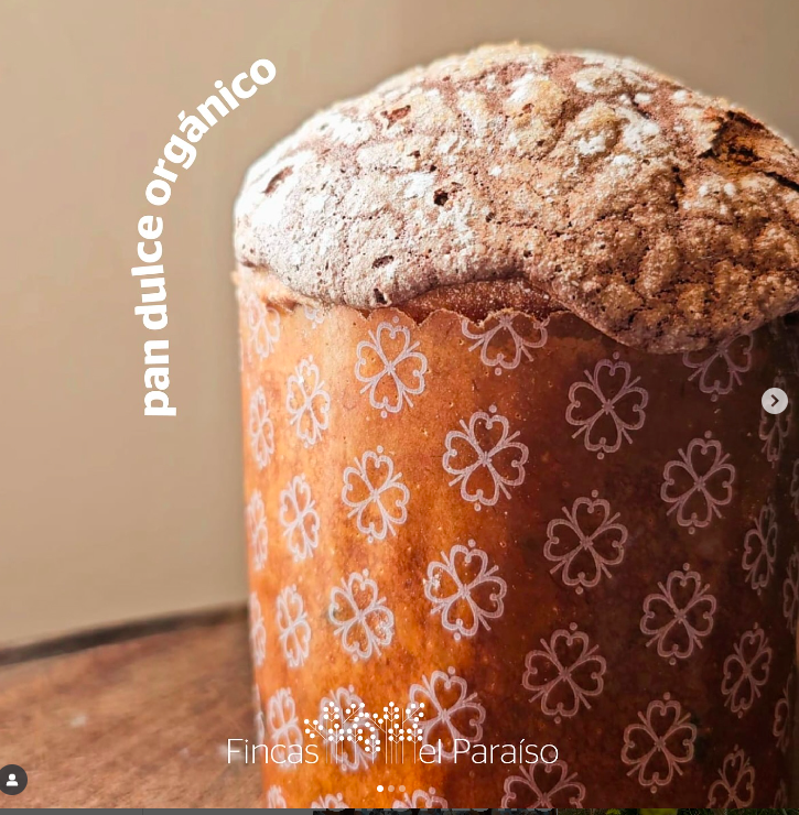 Pan dulce Artesanal x 500 grs