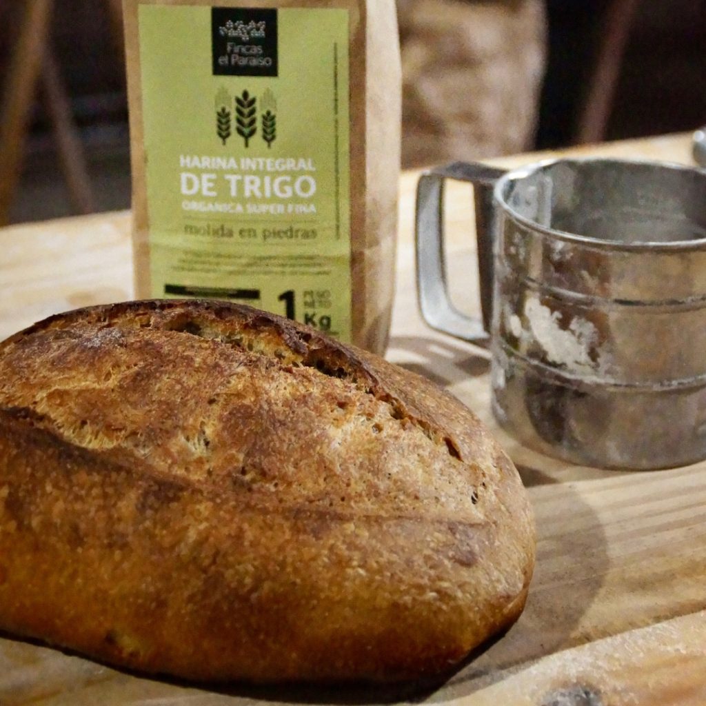 Pan de Campo Integral