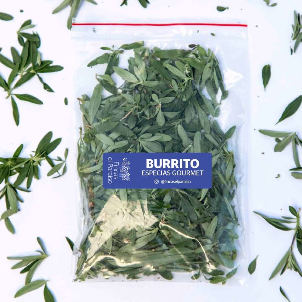 Burrito